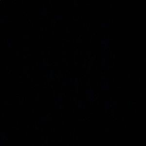 Meet your Posher, Timothy